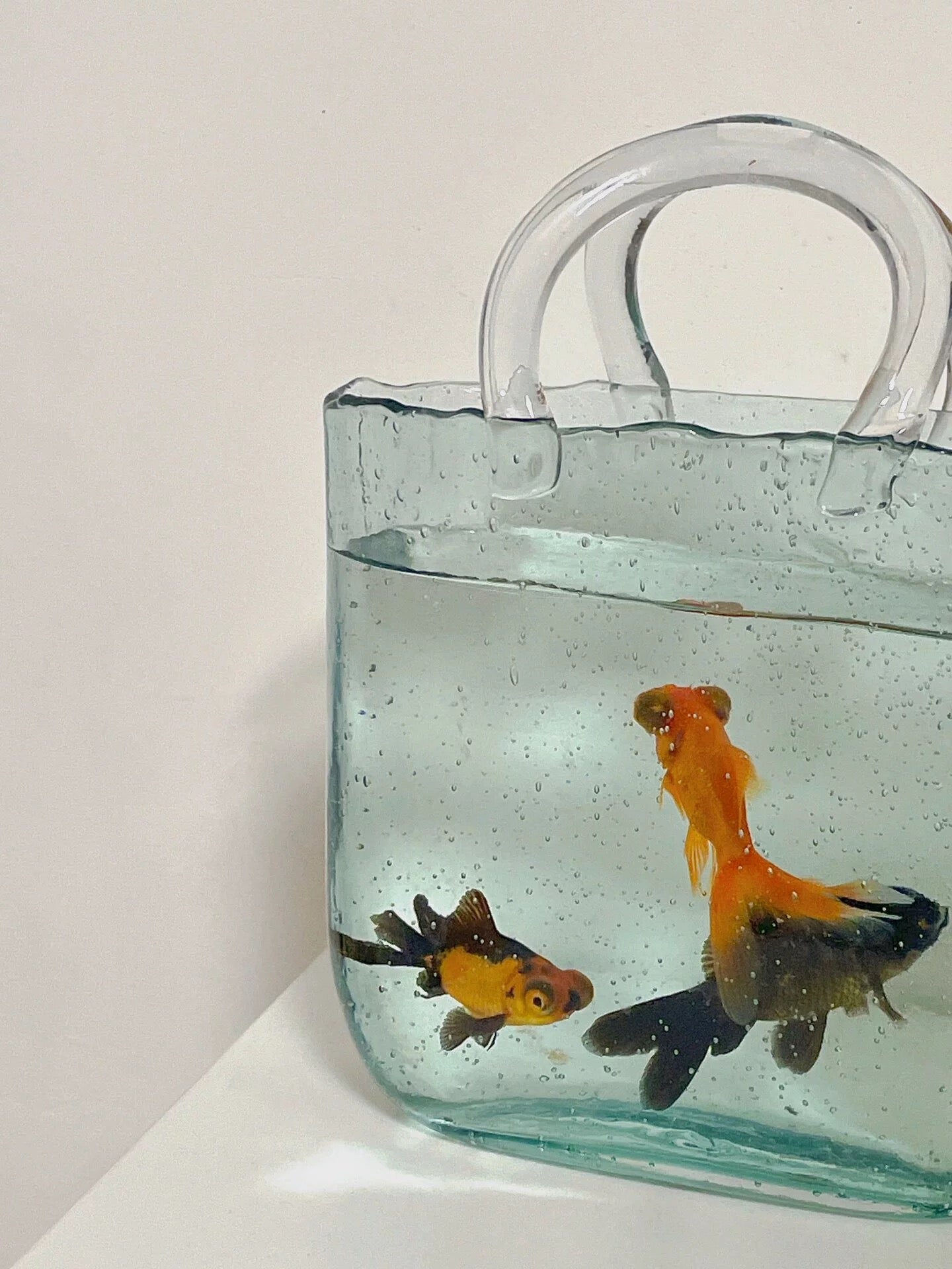 Handbag Aquarium